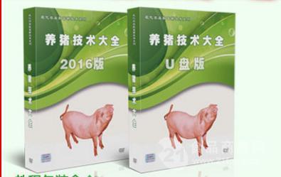 爆料科学养猪视频播放,视频曝光养殖全过程